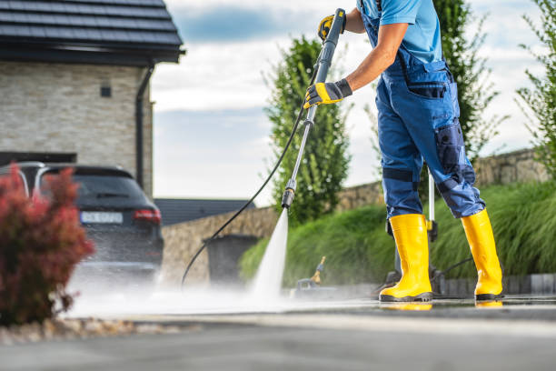 Best Roof Cleaning and Mildew Removal in Wamac, IN